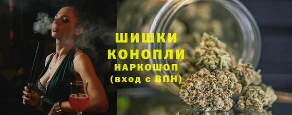 МДПВ Богородицк