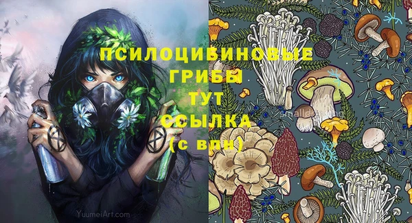 a pvp Белокуриха