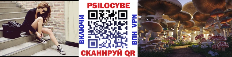 где продают наркотики Волчанск Псилоцибиновые грибы GOLDEN TEACHER